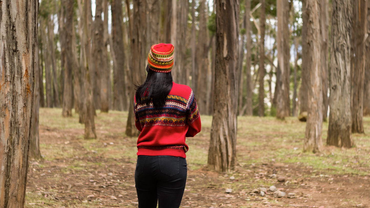 Red Baby Alpaca Sweater with Andean Design