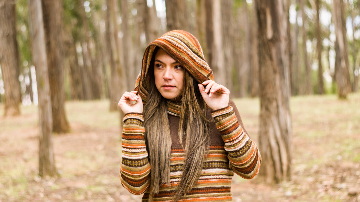 Baby Alpaca Multicolored with horizontal lines Sweater with Andean Design